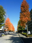 200811141239000.jpg