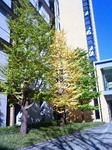 200811141241000.jpg
