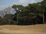 IMG_1264.JPG