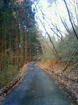 200811261447000.jpg